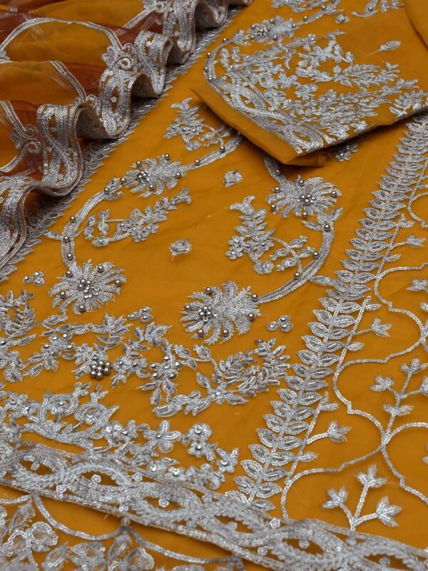 organza net embroidered suit