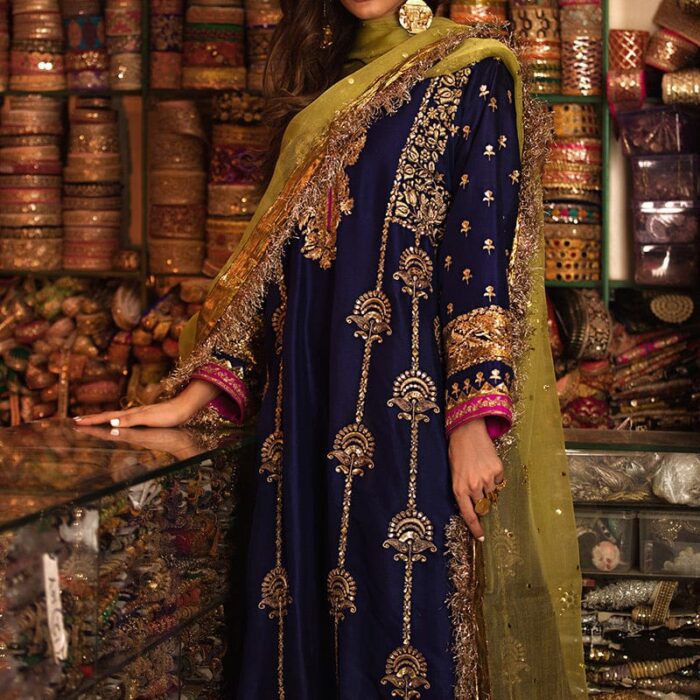 chiffon embroidered suit