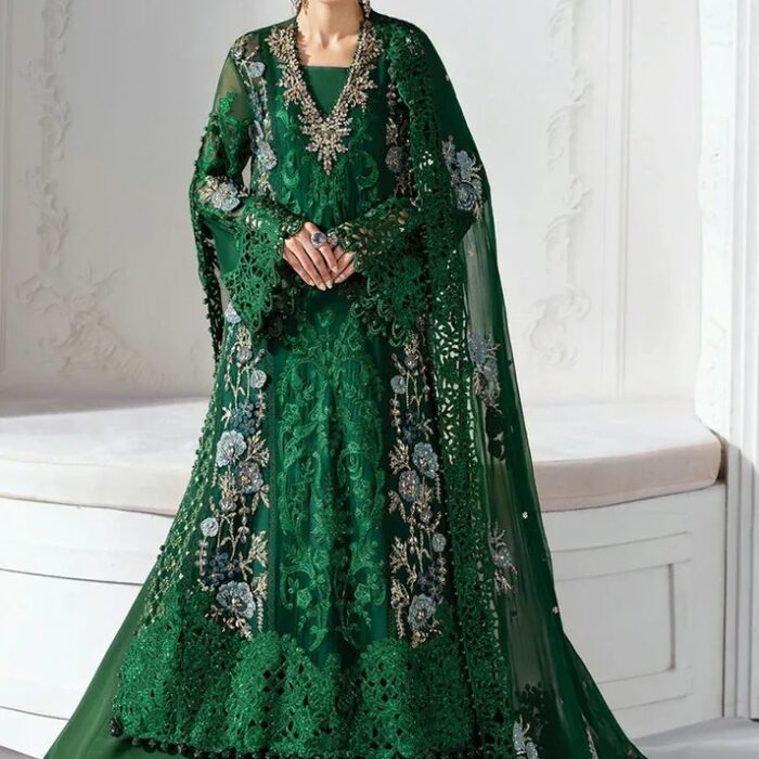 chiffon embroidered suit