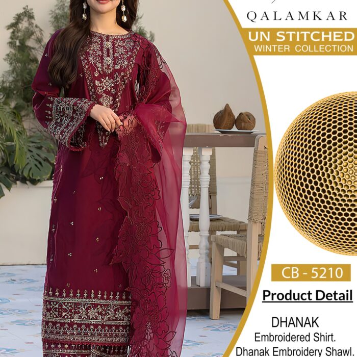dhanak embroidered suit